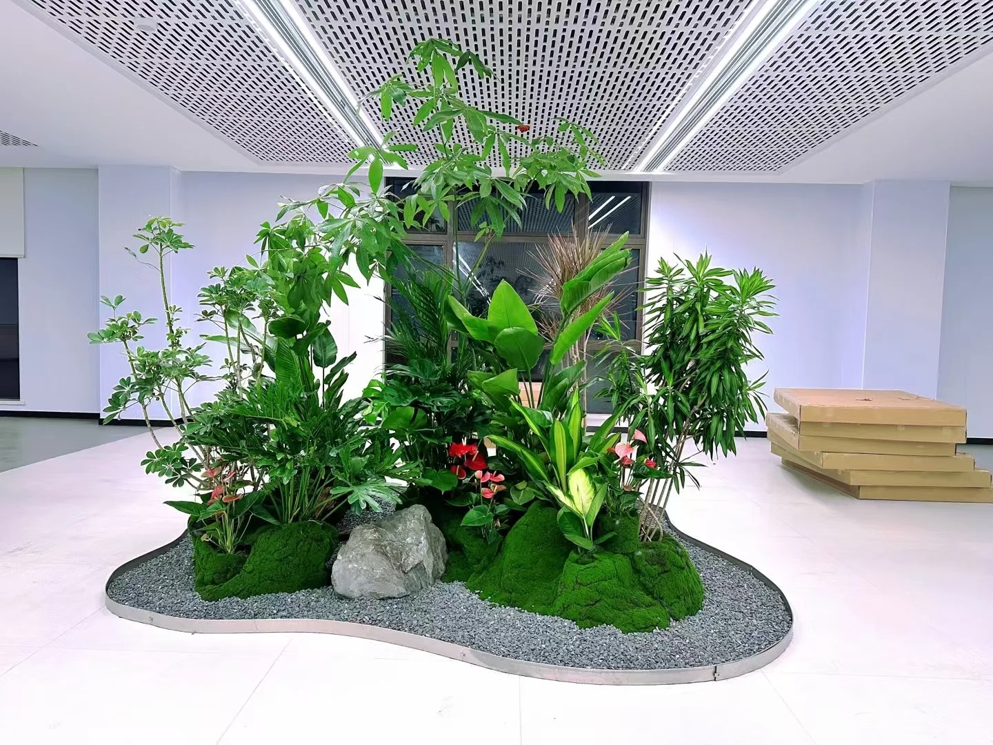 专业余姚盆景租摆,塑造空间别样风情